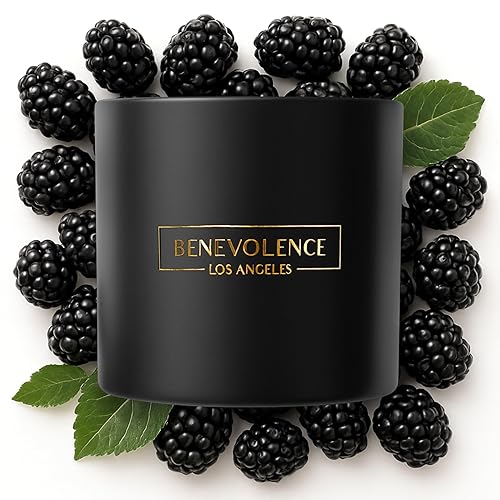 Black Berries (Baies) Scent  14.5 oz Scented Candles for Home Scented  Natural Soy Candles Gifts for Women, Aromatherapy Candle,